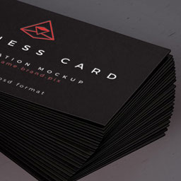 Portfolio Image