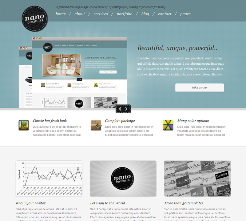 Web Page